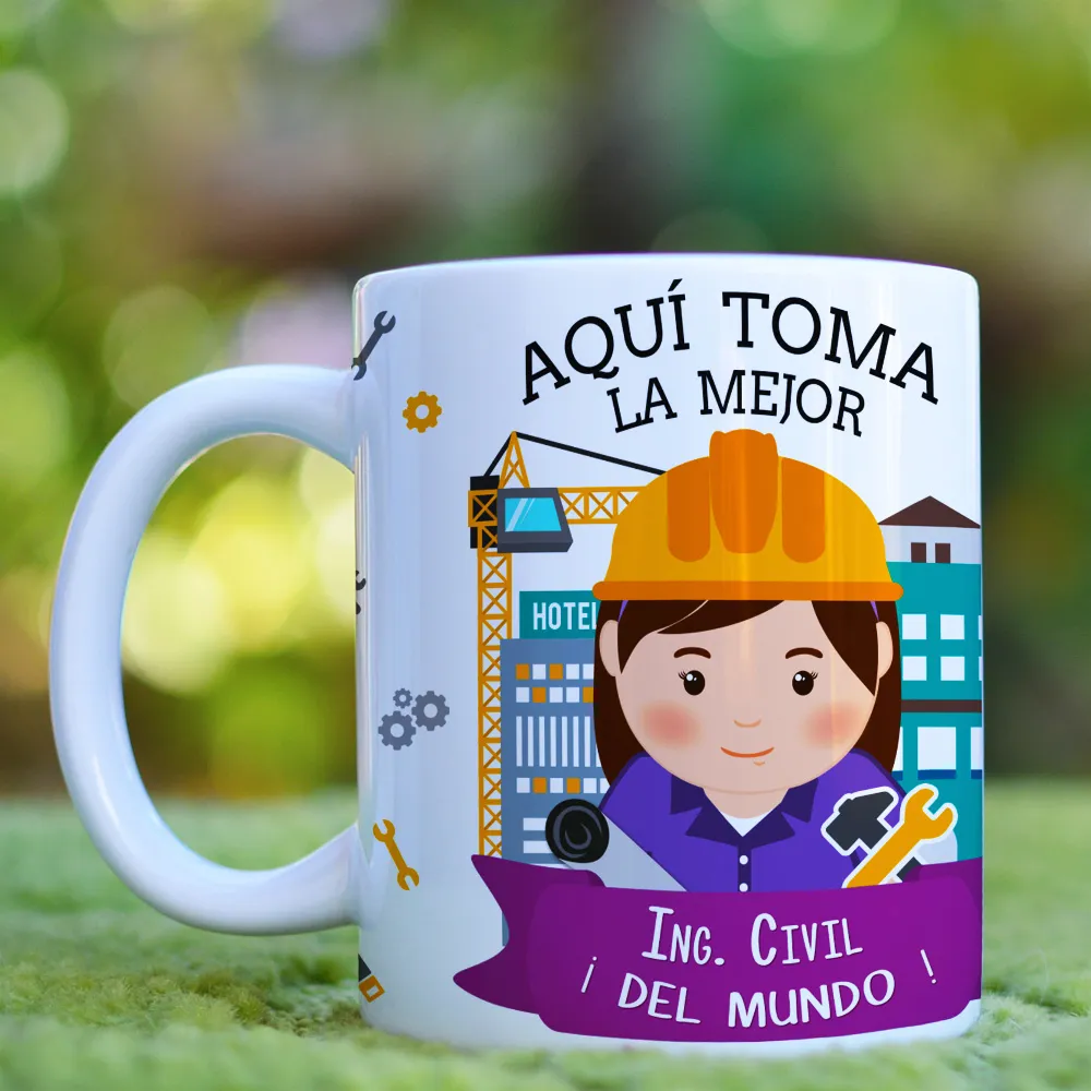Ingeniera Civil · Profesiones
