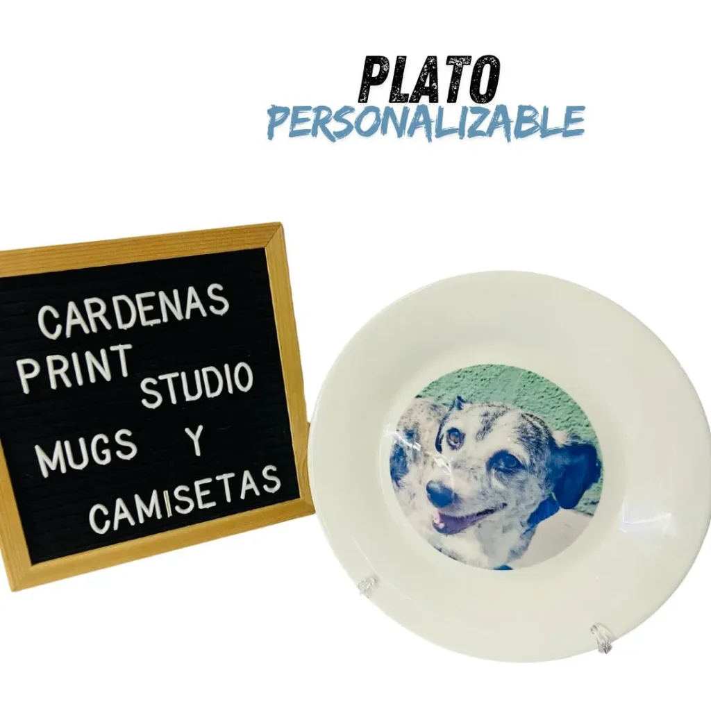 Plato Personalizable